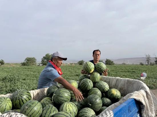 天天吃瓜51,揭秘娱乐圈背后的那些事儿