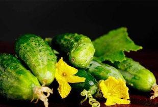 糖人吃小白瓜,甜蜜邂逅，夏日清新滋味