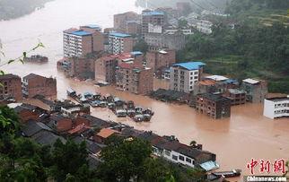 和平县江陵镇新闻头条,江陵镇焕新颜，共筑和谐发展新篇章