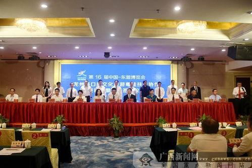 广西钦州龙州新闻头条,聚焦钦州龙州最新动态，揭示区域发展新篇章”