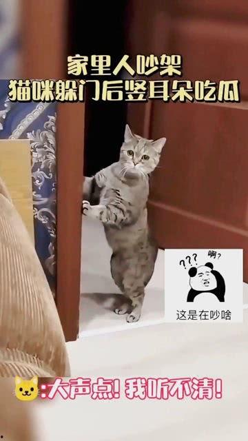 像不像吃瓜似的你,轻松解读热点事件