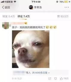 吃瓜的老实人,揭秘娱乐圈背后的真实故事