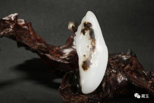 如何看俄黑皮料染色,俄黑皮料染色工艺解析与艺术魅力展现