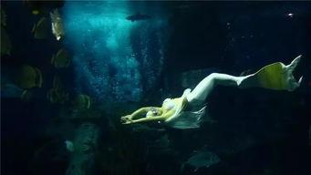 把明星海底,明星与海洋的神秘邂逅