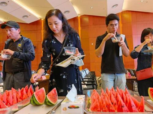 吃瓜阿姨的照片真实,镜头下的真实生活瞬间