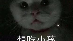 头条小毛驴起名,头条萌宠的趣味成长记