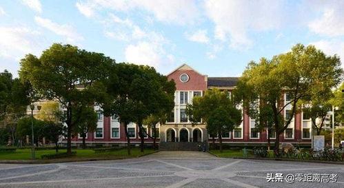 财经大学 吃瓜,揭秘校园里的“吃瓜”文化现象