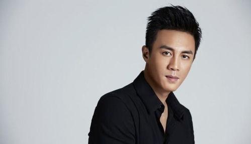 中国的帅哥男明星,盘点帅气男明星风采