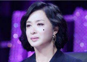 加入大陆籍的台湾明星,大陆籍台湾明星的璀璨历程