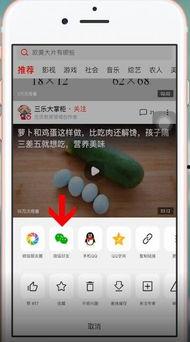 微信怎么分享吃瓜,一起“吃瓜”乐无边