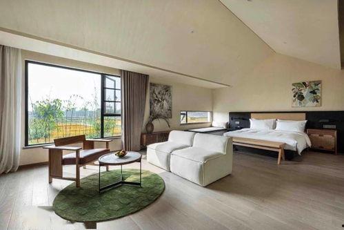 民宿改造网红风格