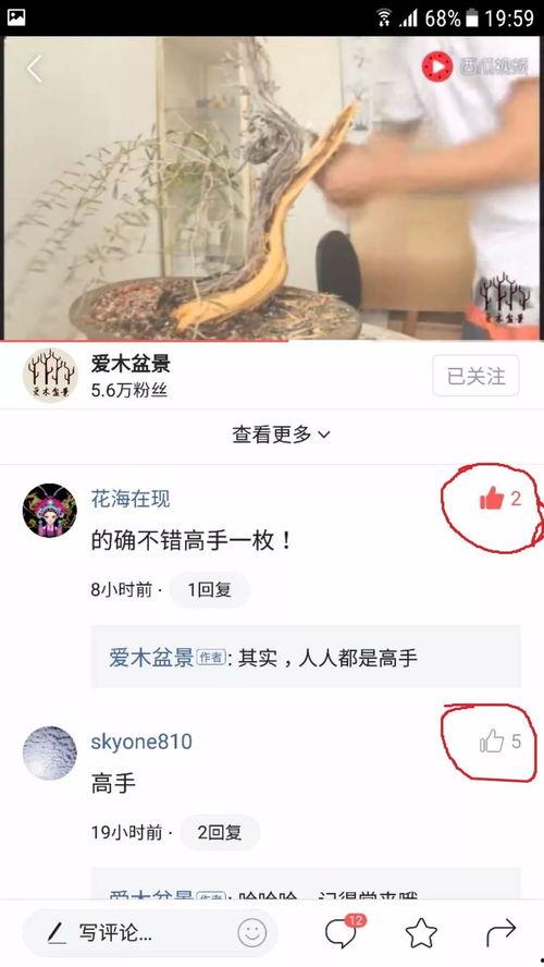 今日头条评论点赞软件,一键提升互动热度，轻松吸粉！